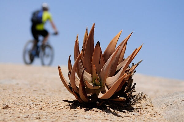 Fietsen in Namibie - Namib Woestijn