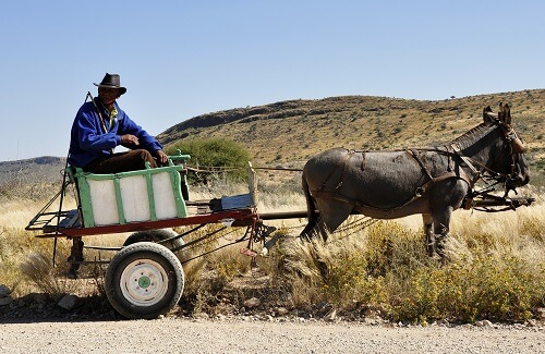 Individuele rondreis Namibie