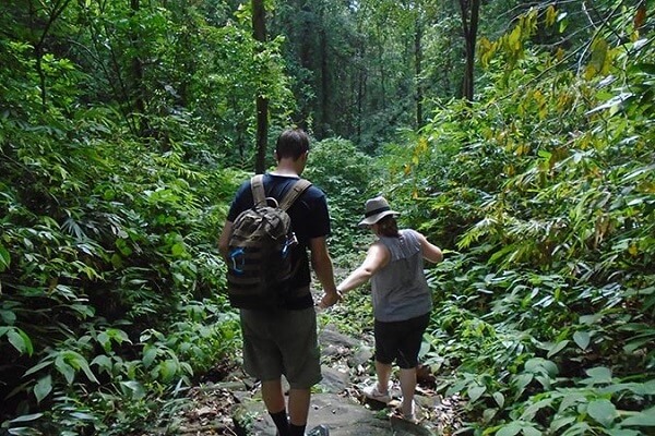 Wandelen in Sri Lanka - Sinharaja Rain Forest