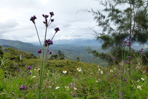 Baliemvallei West Papua