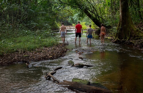 Het Amazonegebied - Danpaati River Lodge jungle hike